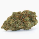 Bubble Gum