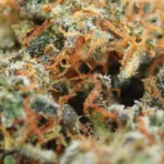 Super Lemon Haze - Image 2